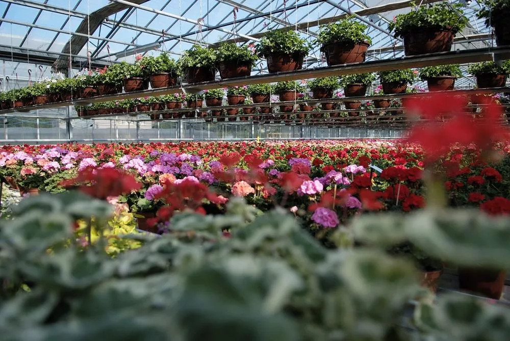 Image de Vuillermet Cédric